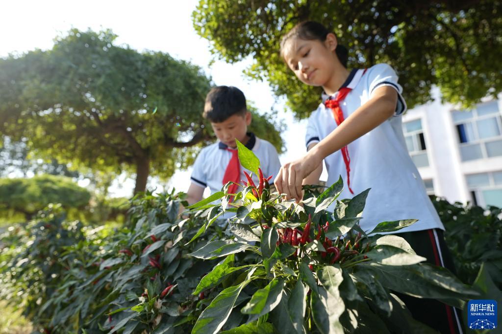 必发老虎机网址